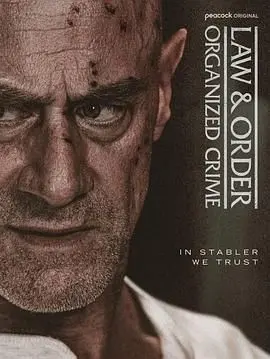 《法律与秩序：组织犯罪 第五季》：罪恶升级，正义能否战胜？| 犯罪 &amp; 悬疑