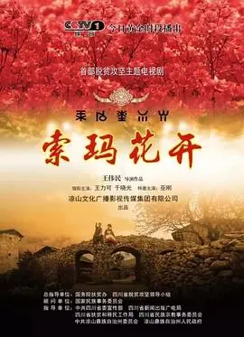 《索玛花开》：治愈心灵！高原上的动人诗篇，感受生命的希望与力量