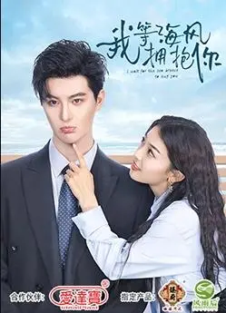 《我等海风拥抱你》：治愈系日本青春片，在海边小镇寻找友情与成长的答案！