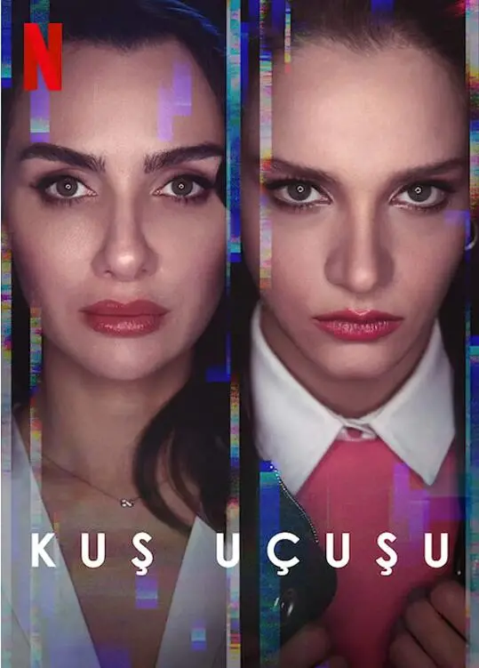 《直线篡位》：校园权斗升级！青春的残酷物语，谁能登上权力之巅？